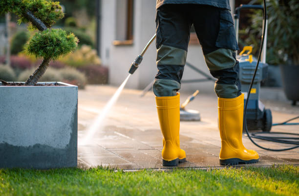Best Best Pressure Washing Companies  in Egypt, AL